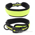 Hot Fast Deliver Reflective Neoprene Padded Dog Collar